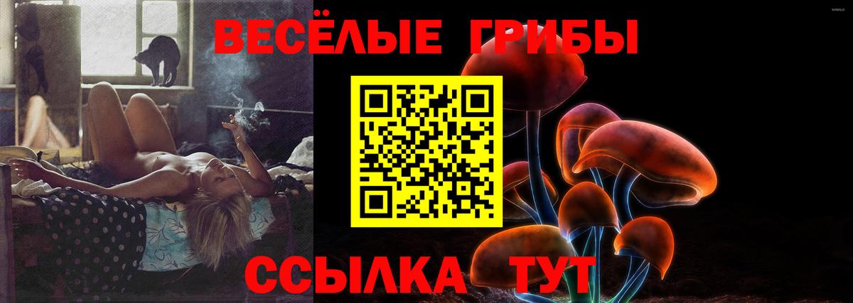 Долгопрудный  Псилоцибиновые грибы Cubensis  Псилоцибиновые грибы Psilocybine cubensis  Вход с VPN 